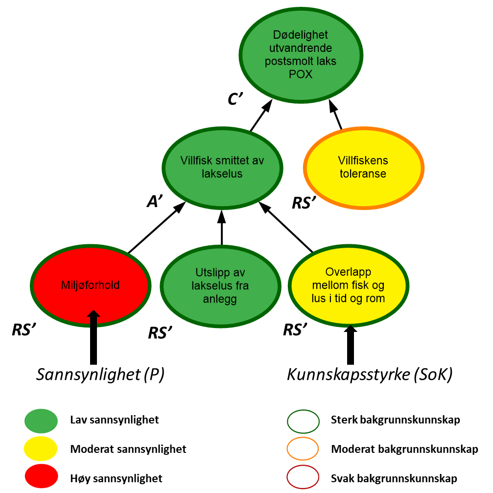 Visualisering sannsynlighet - kunnskapsstyrke