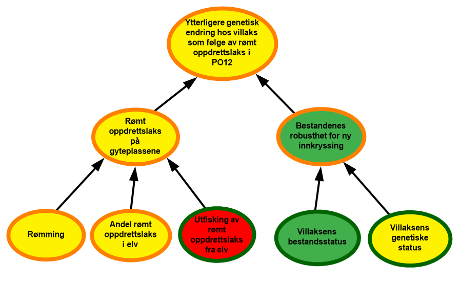 diagram risikovurdering PO12