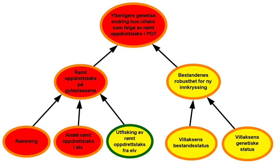 diagram risikovurdering PO7