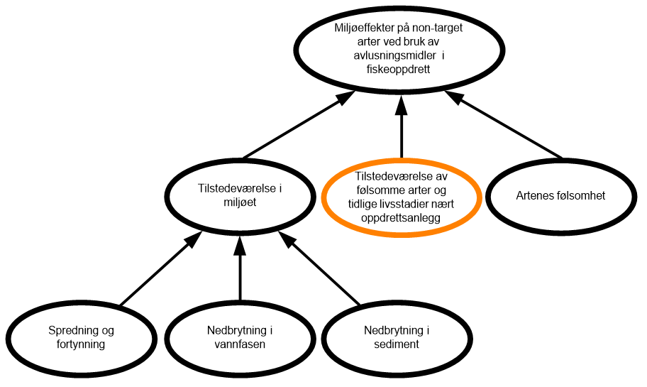 diagram over faktorer for miljøeffekter legemidler