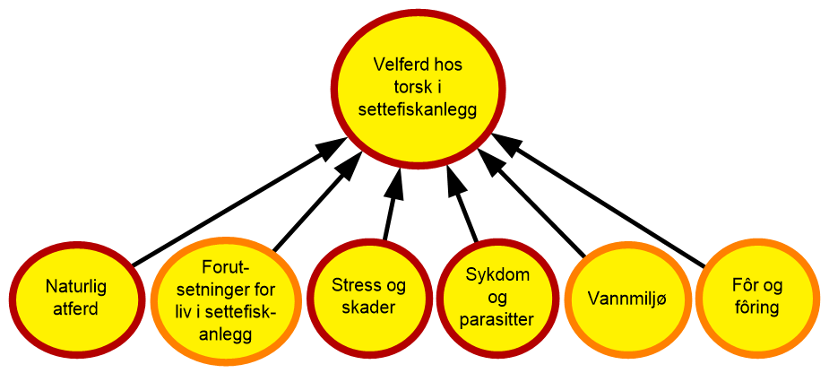 diagram som visualiserer risiko og velferd for torsk settefisk