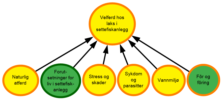 diagram som visualiserer risiko og velferd for settefisk