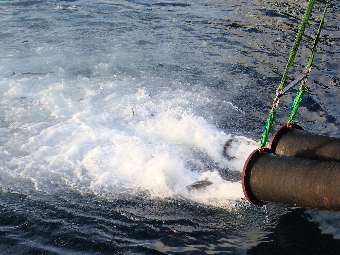 foto av rørutslipp i hav