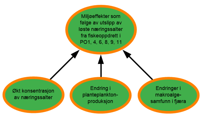 Diagram risikovurdering næringssalter 