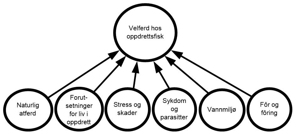 diagram som visualiserer velferdsfaktorer