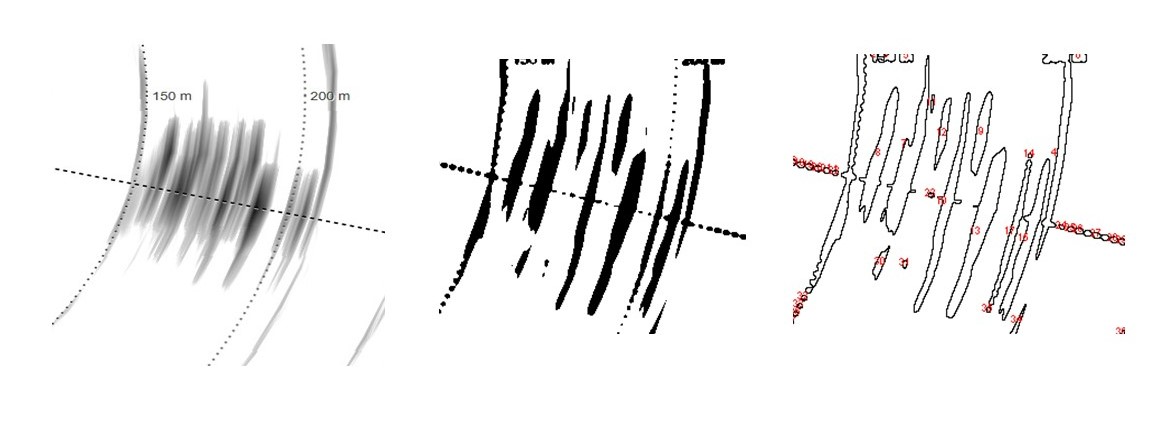 Figure 15. Example of using autothresholding in image J to automatically detect and extract BFT echoes and count the number of individuals. The image is first converted to binary, then a threshold is applied and finally borders of the thresholded parts are detected and the number of shapes counted.