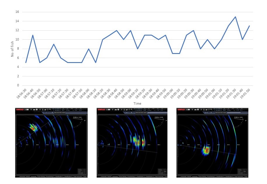Figure 14. Manual fish count from SN90 screen images. Fish in the same school were counted 31 times with 10s intervals. Examples of screen images used are shown below the chart.
