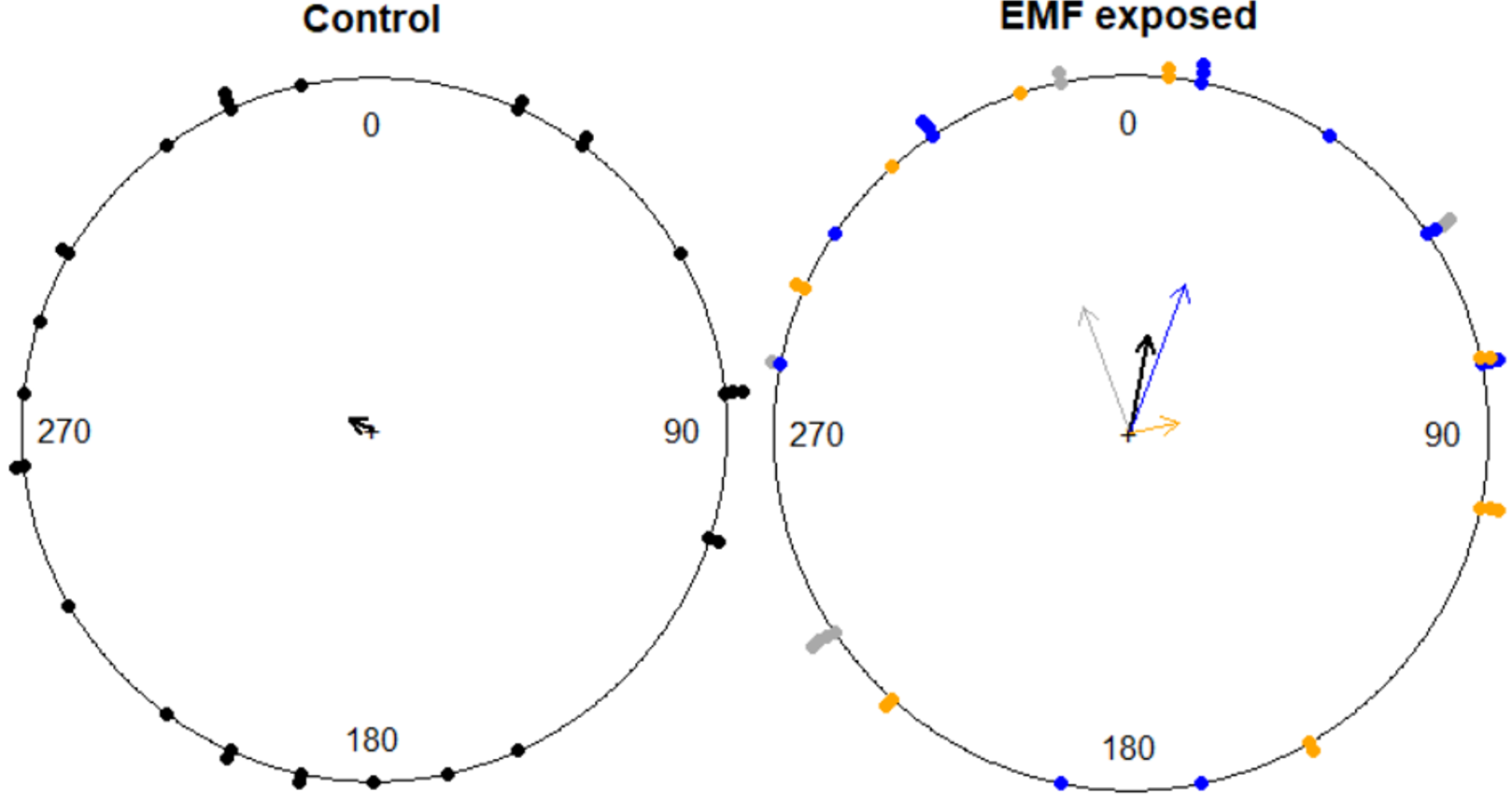 Figures depicting the magnetic orientation of haddock