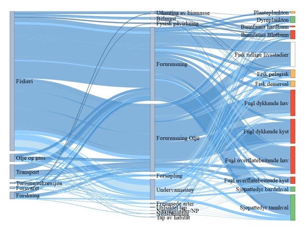 Figur 22. Sankey diagram (hyperlink) for BH7 Det sentrale Barentshavet. Figuren viser hvilke sektorer (til venstre) som er koblet til en rekke påvirkninger (midten) og hvordan disse igjen er koblet til risiko for påvirkning på miljøverdiene (til høyre). Fargen på strekene angir middels konfidens (mørk er høy konfidens, lys er lav konfidens), mens tykkelsen på strekene viser bidrag til risiko for påvirkning. Sårbarhet for klimaendringer er angitt av fargene på miljøverdiene; der rødt er høy sårbarhet, oransje er middels, gult er lavt, hvit er ingen sårbarhet og grønt er positiv respons for klimaendringer.