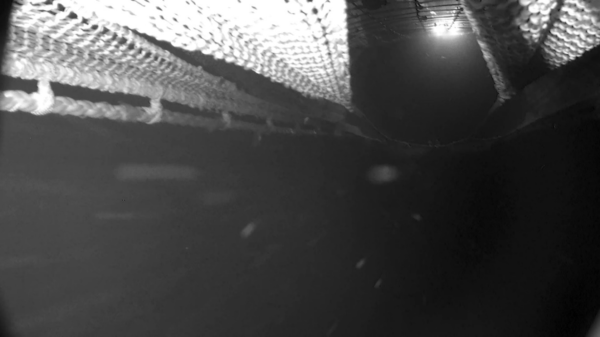 Figure 8.3 – view from camera position 6oF, showing the leading panel visible through the escape openings of the BRS.