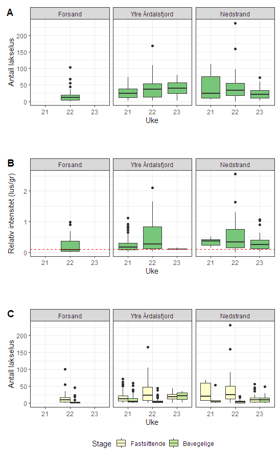 Figurer som viser mengde lakselus på sjøørret i 2022