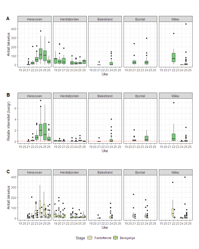 Figurer som viser mengde lakselus på sjøørret i 2022