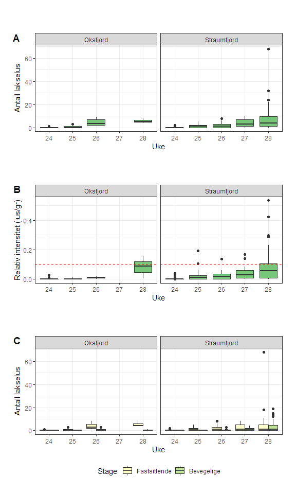 Figurer som viser mengde lakselus på sjøørret i 2022