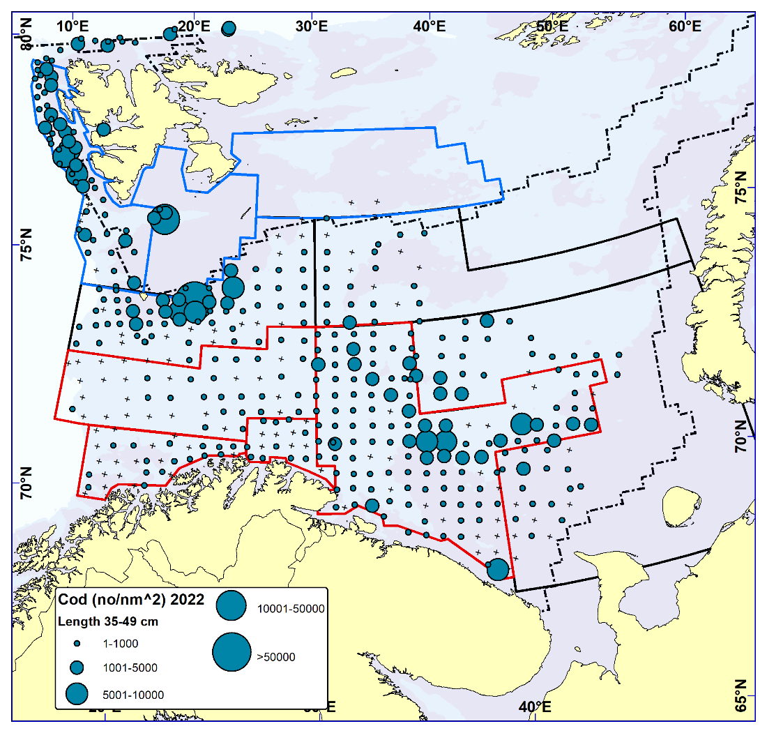 COD 35-49 cm. Distribution in valid bottom trawl catches winter 2022 (number per nm2). Black crosses indicate zero catches and the stippled line the ice edge.