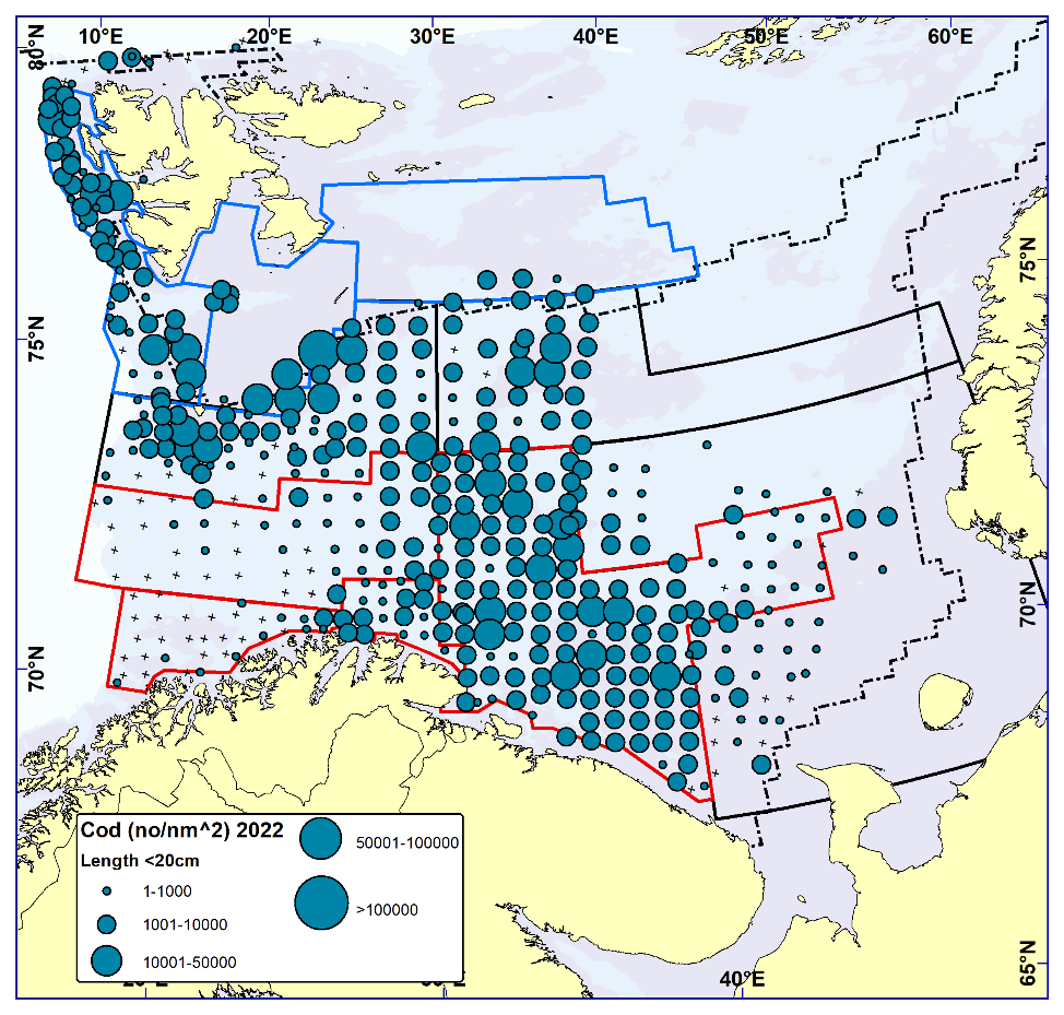 COD < 20 cm. Distribution in valid bottom trawl catches winter 2022 (number per nm2). Black crosses indicate zero catches and the stippled line the ice edge.