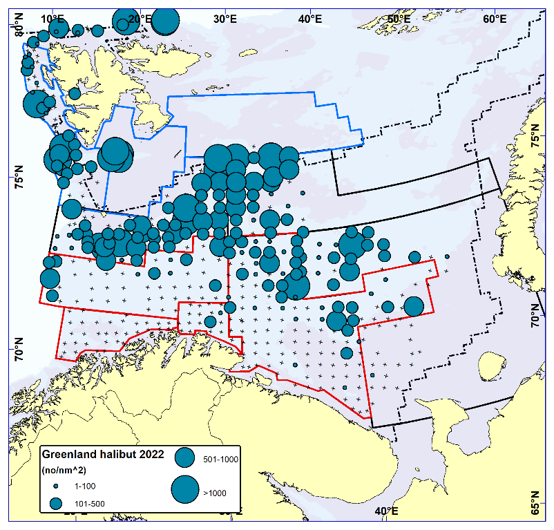 GREENLAND HALIBUT. Distribution in the trawl catches winter 2022 (number per nm2). Black crosses indicate zero catches and the stippled line the ice edge.