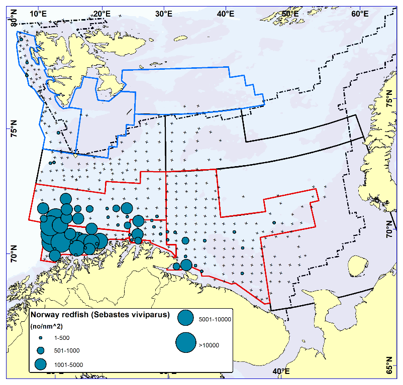 NORWAY REDFISH (Sebastes viviparus). Distribution in the trawl catches winter 2022 (number per nm2). Black crosses indicate zero catches and the stippled line the ice edge.