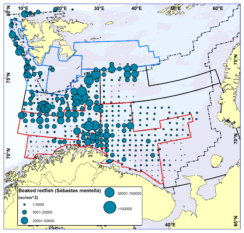 GOLDEN REDFISH (Sebastes norvegicus). Distribution in the trawl catches winter 2022 (number per nm2). Black crosses indicate zero catches and the stippled line the ice edge.