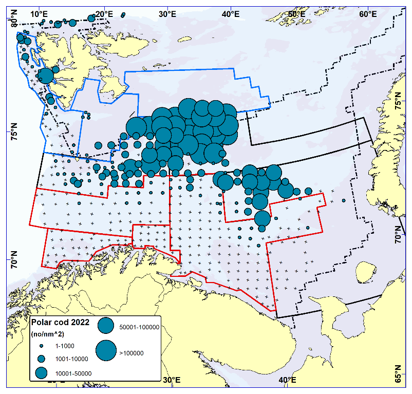 POLAR COD. Distribution in the trawl catches winter 2022 (number per nm2). Black crosses indicate zero catches and the stippled line the ice edge.