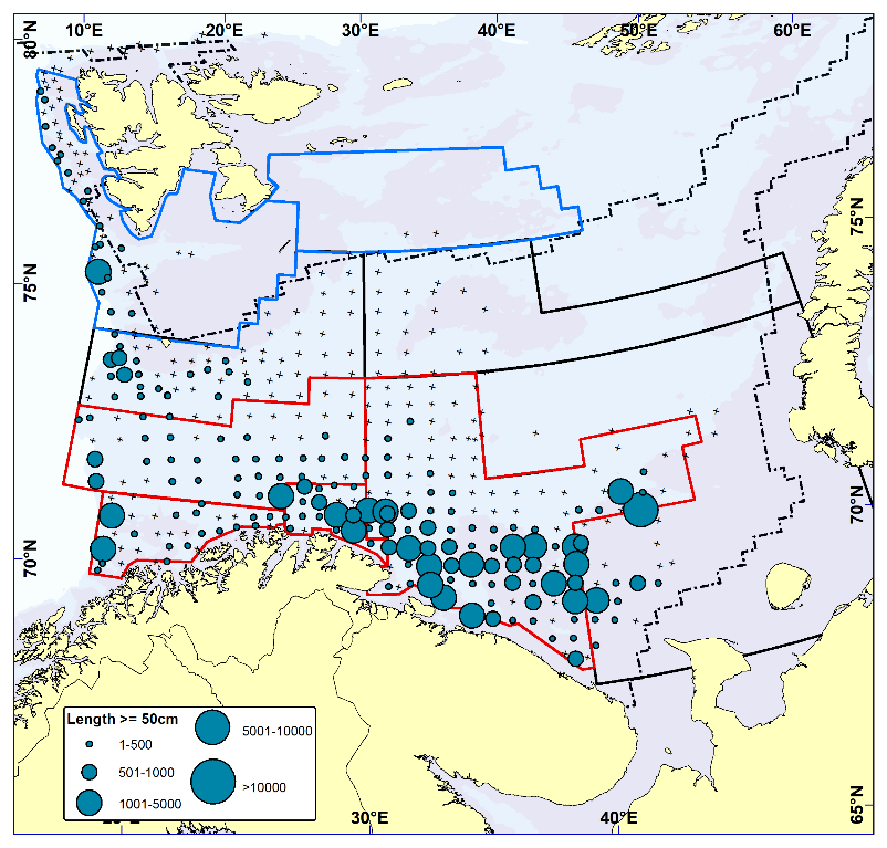 HADDOCK ≥ 50 cm. Distribution in valid bottom trawl catches winter 2022 (number per nm2). Black crosses indicate zero catches and the stippled line the ice edge.
