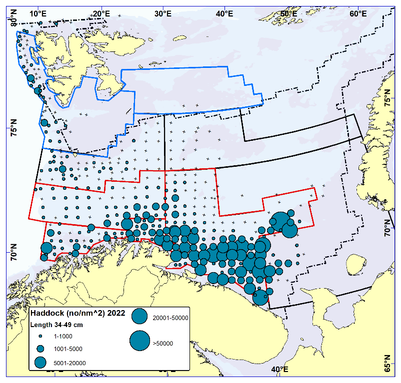 HADDOCK 20-34 cm. Distribution in valid bottom trawl catches winter 2022 (number per nm2). Black crosses indicate zero catches and the stippled line the ice edge.