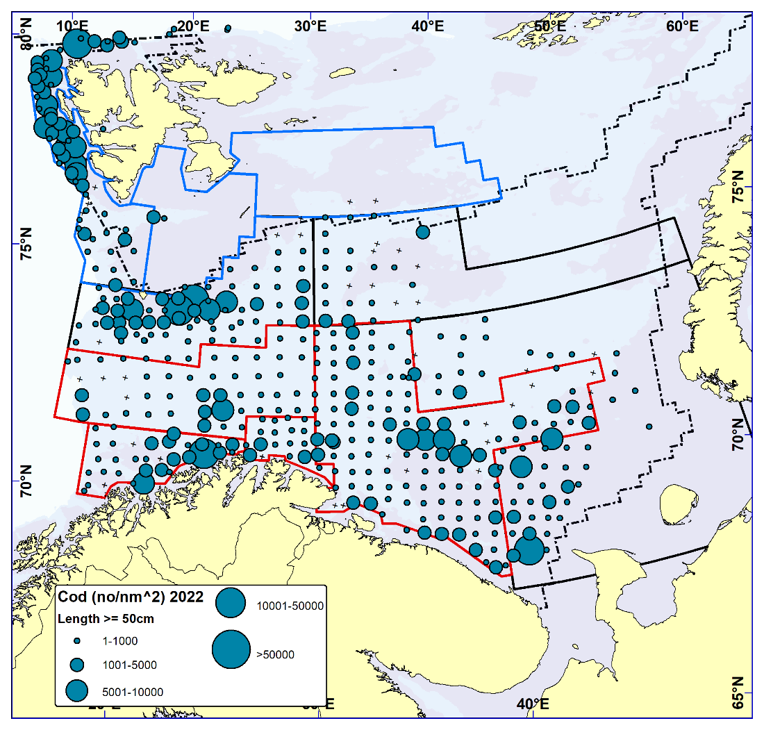 COD ≥ 50 cm. Distribution in valid bottom trawl catches winter 2022 (number per nm2). Black crosses indicate zero catches and the stippled line the ice edge.