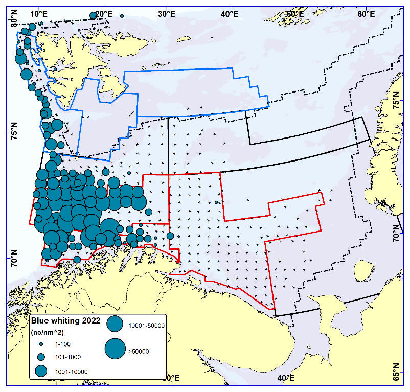 BLUE WHITING. Distribution in the trawl catches winter 2022 (number per nm2). Black crosses indicate zero catches and the stippled line the ice edge.