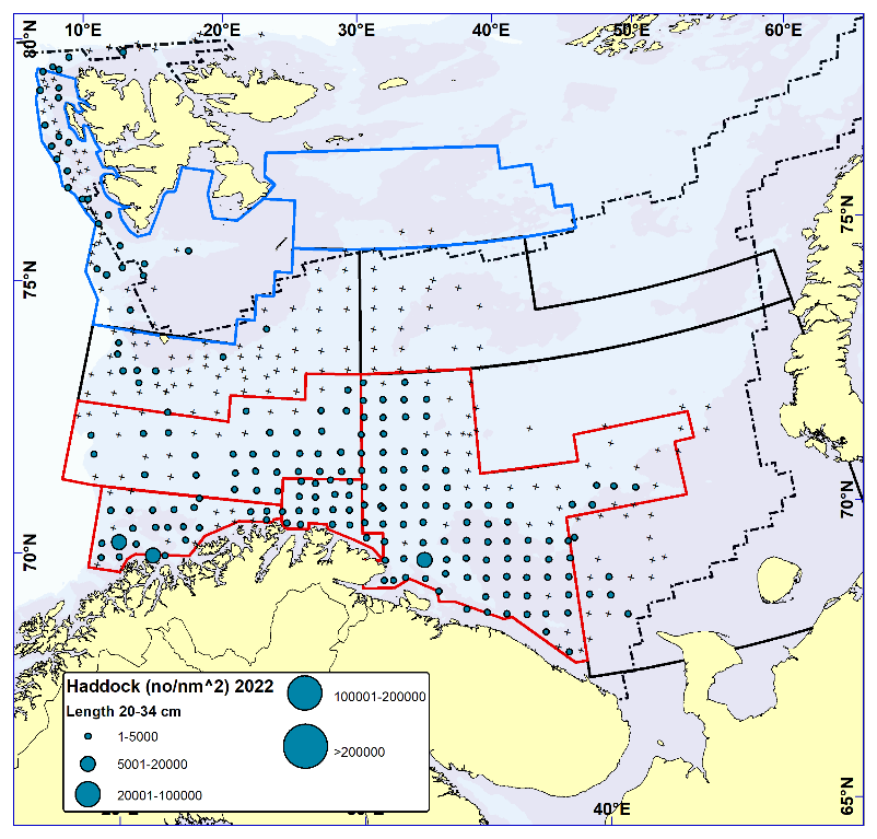 HADDOCK 35-49 cm. Distribution in valid bottom trawl catches winter 2022 (number per nm2). Black crosses indicate zero catches and the stippled line the ice edge.