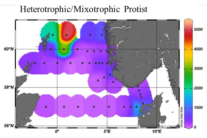  
Figure 16. Heterotrophic and mixotrophic protist abundance distribution based on imaging analysis using a Flowcam VS-1.
