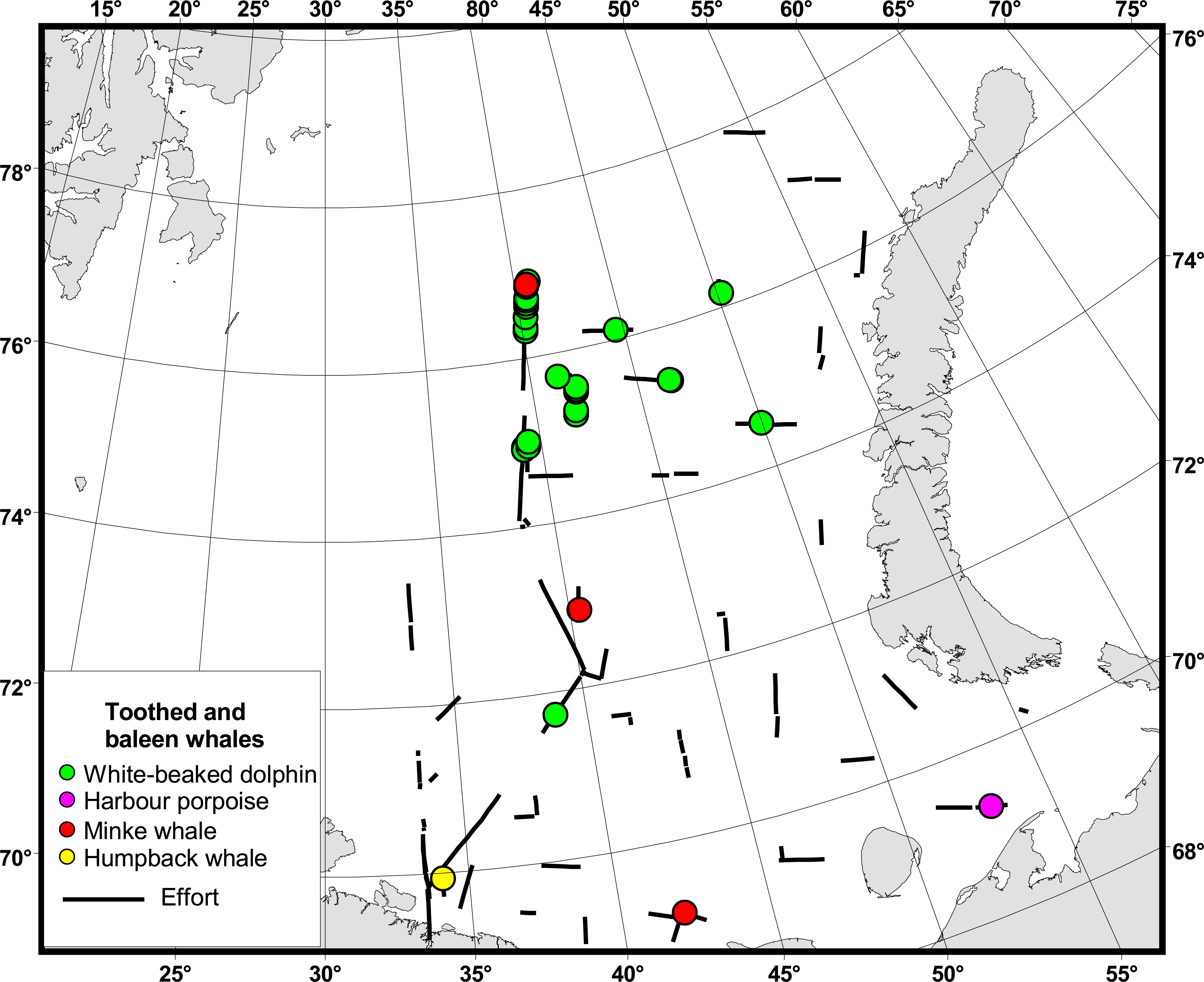 Ch 12.1.2 Whales in Russian sector
