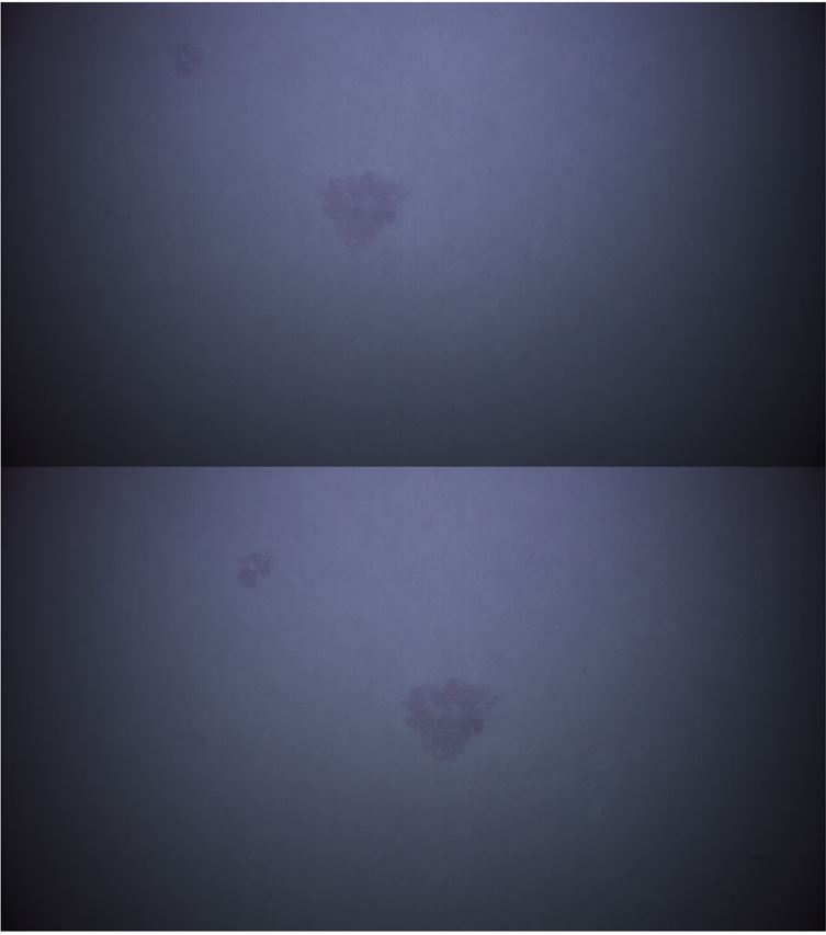 Image shows one photo above another, both of the seafloor with some form of chain piled in the middle. The bottom image is slightly clearer.