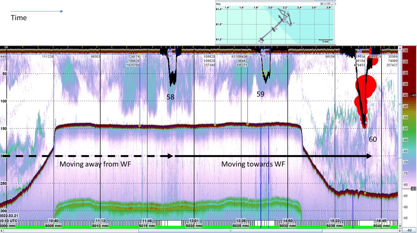 Acoustic figure showing the sound scattering layers from the fisheries transect. The three DeepVision trawl stations are also indicated.