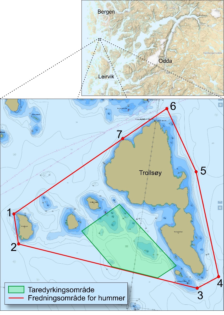 Figur 4. Kart over fredningsområdet for hummer og taredyrkingsområde ved Trollsøy i Austevoll. Tall angir koordinater der fredningsområdet er avgrenset ved rette linjer i sjø.