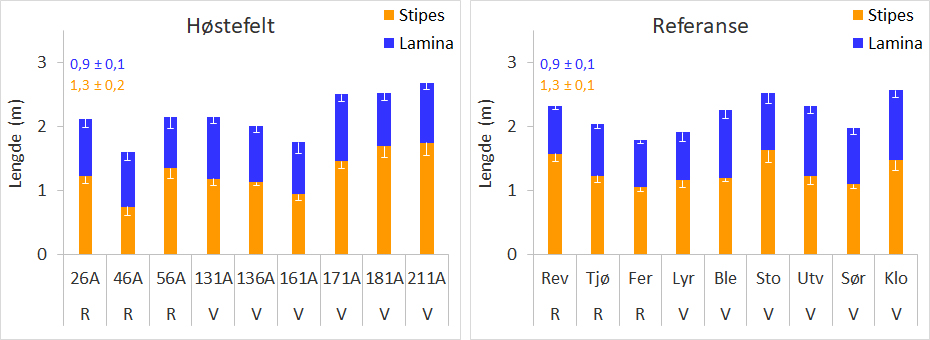 Figur 14. Gjennomsnittlig lengde (i meter) av stilk (stipes) og blad (lamina) hos stortareplanter samlet inn på stasjoner i felt høstet fire år tidligere (venstre panel) og uhøstede referanseområder (høyre panel) i Rogaland (R) og Vestland (V) i april-mai 2023. Nedre grense for 95 % konfidensintervall er tegnet inn. De totale gjennomsnittslengdene ± 95 % konfidensintervall for de ulike plantedelene for alle stasjoner i henholdsvis høstefelt og referanseområder er angitt øverst til venstre i hvert panel. Stasjonene er listet fra sør (til venstre) mot nord (til høyre). Høstefeltstasjonene er angitt med nummer og referansestasjonene med forkortet navn (se Figur 1 og Appendix 3 for detaljer).