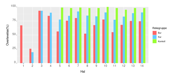 Halvis oversikt over prosentvis overlevelse for reker etter 48 timers mellomlagring for de tre forsøksgruppene (Bur, Kar og Kontroll).