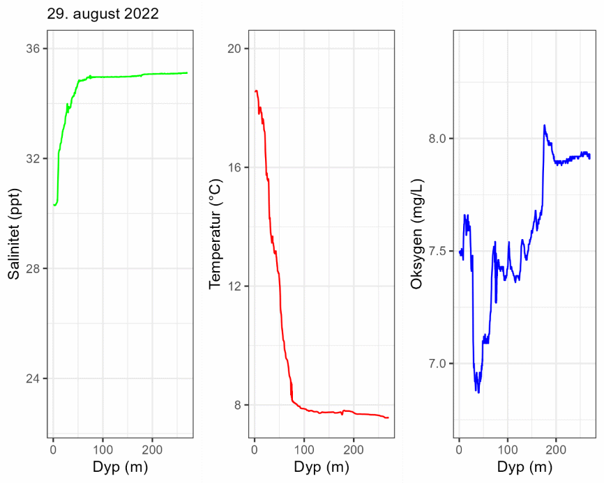CTD-profil 29. august 2022.