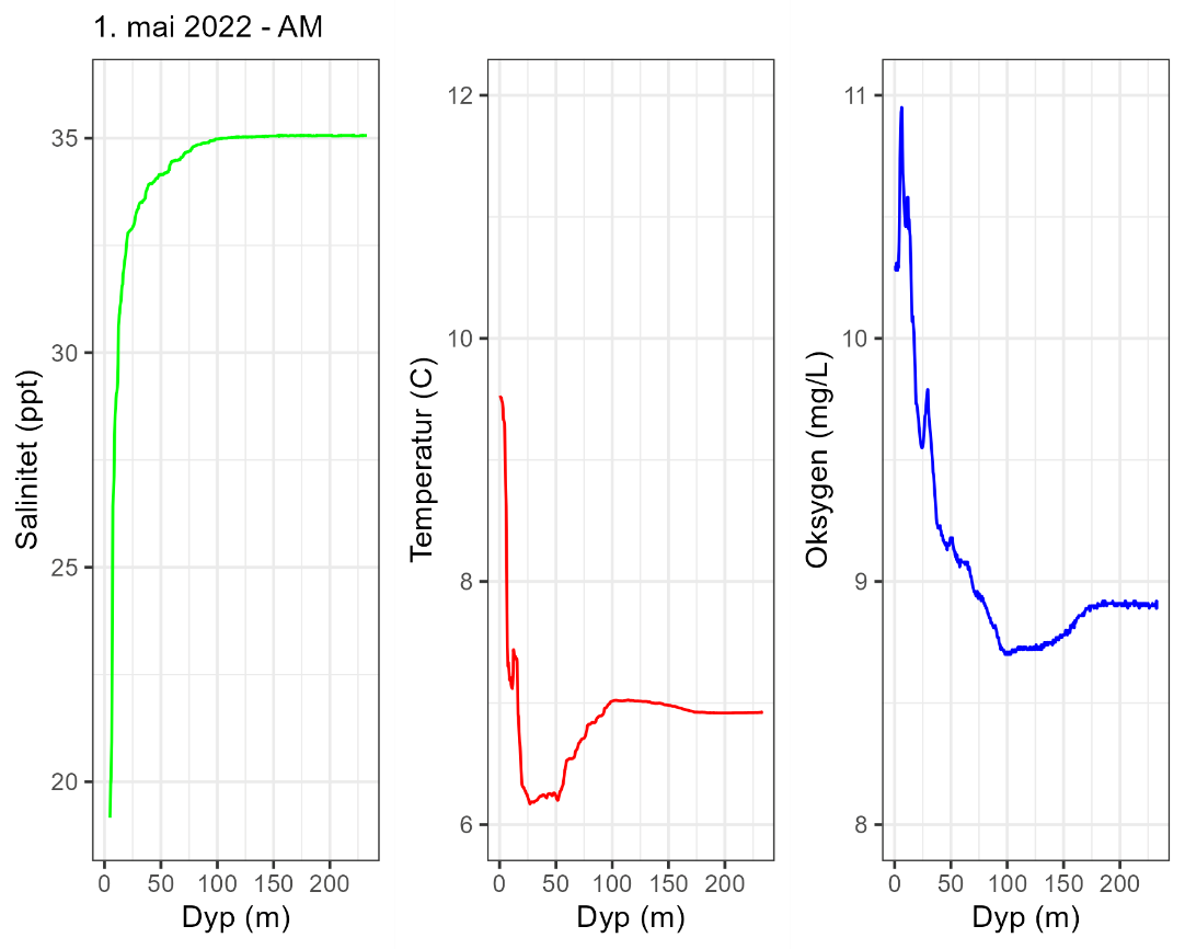 CTD-profil formiddag 1. mai 2022.