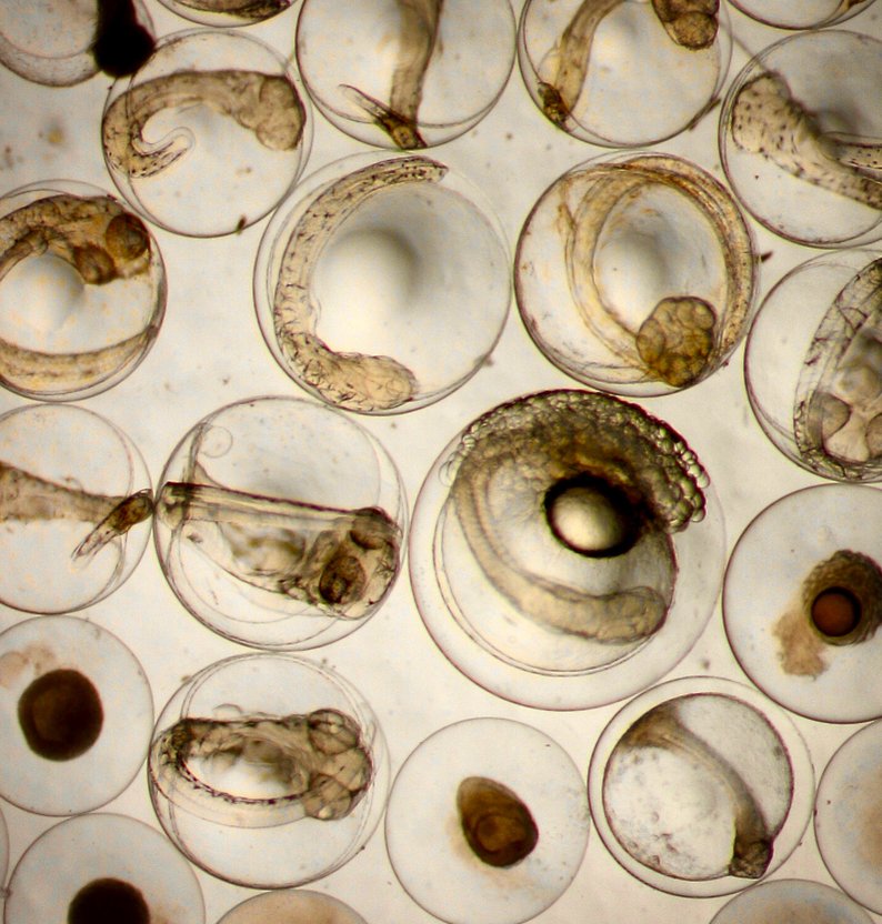 
9C18BA43 6C52 4197 B546 8A282E7809DB