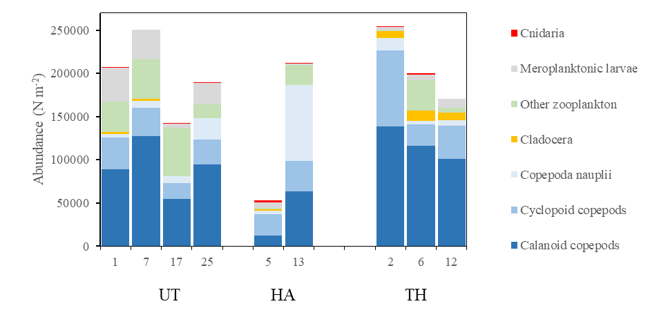 Figure 19. Zooplankton abundance (numbers/m2) on selected stations along three transects Utsira-StartPoint (UT), Hanstholm-Aberdeen (HA) and Torungen-Hirtshals (TH). Positions shown in map, Figure 16.