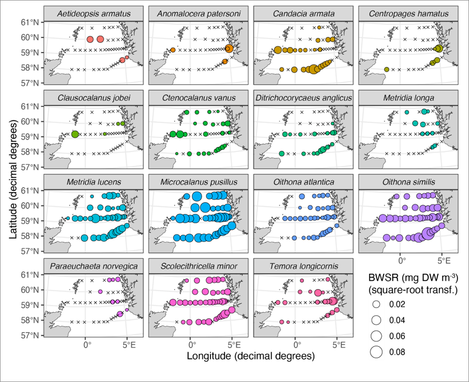 Figure 26 BWSR distribution of the most common copepod species (WP2 net only), excluding Calanus spp. and Pseudo/Paracalanus spp.