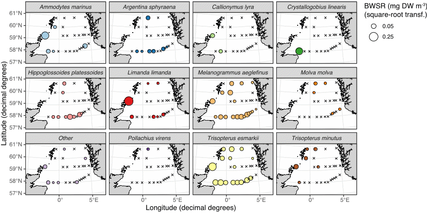 Figure 26 BWSR distribution of the most common copepod species (WP2 net only), excluding Calanus spp. and Pseudo/Paracalanus spp.
