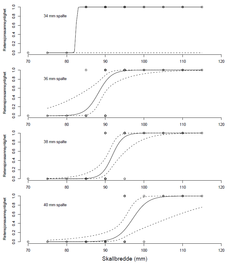 Bildet viser figur av sannsynligheten for at krabber holdes tilbake i teina og ikke kan komme seg ut gjennom fluktåpninger som funksjon av krabbestørrelse (skallbredde) for fire ulike spaltehøyder. 