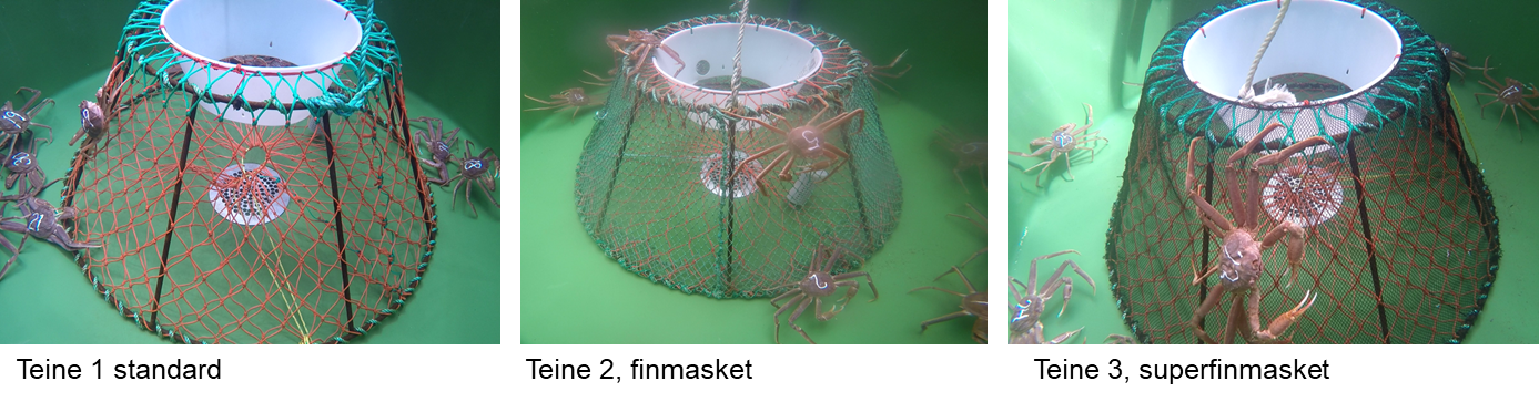 Bildet viser tre teiner med ulik maskestørrelse