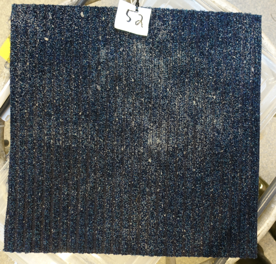 Figur 8: Eksempel på en gytematte med egg. 