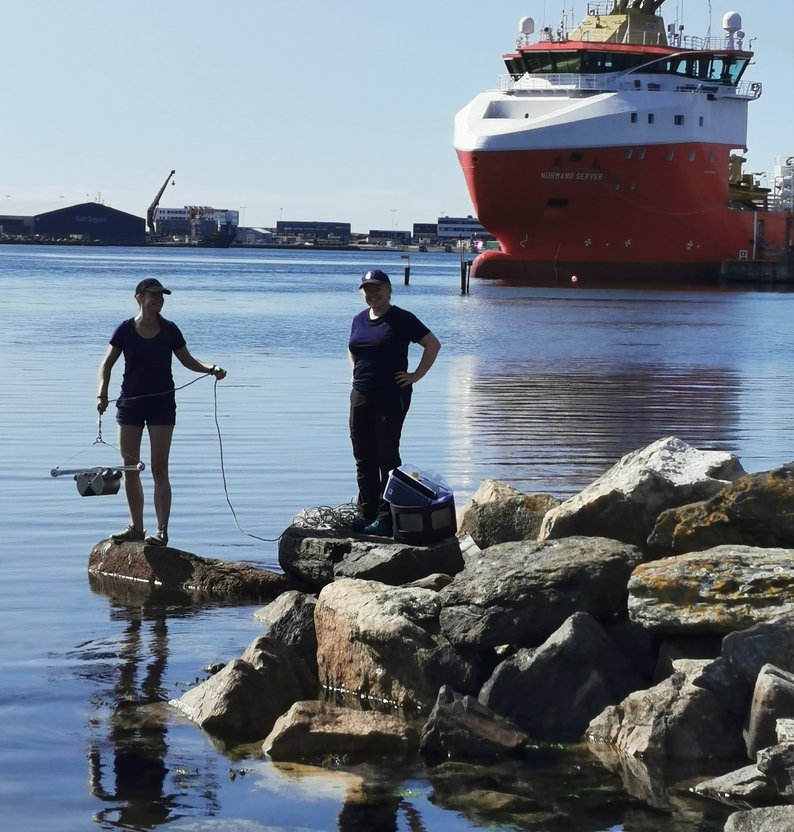 
301481600 487825939378502 1242382510194999492 n