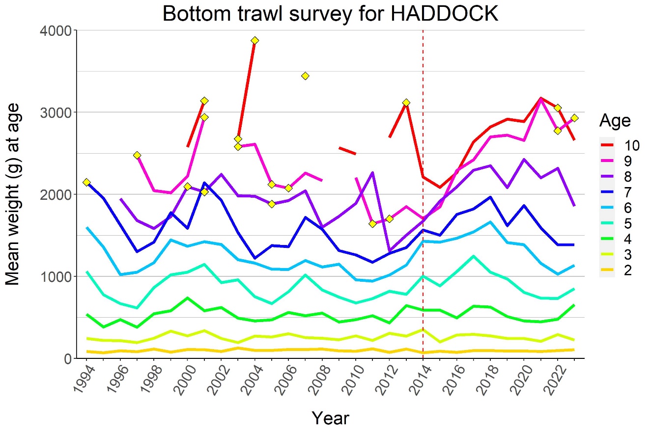 Figure 6.10. HADDOCK, mean weight (kg) by age 1994-2023. Yellow diamonds indicate ages with < 5 individuals sampled.