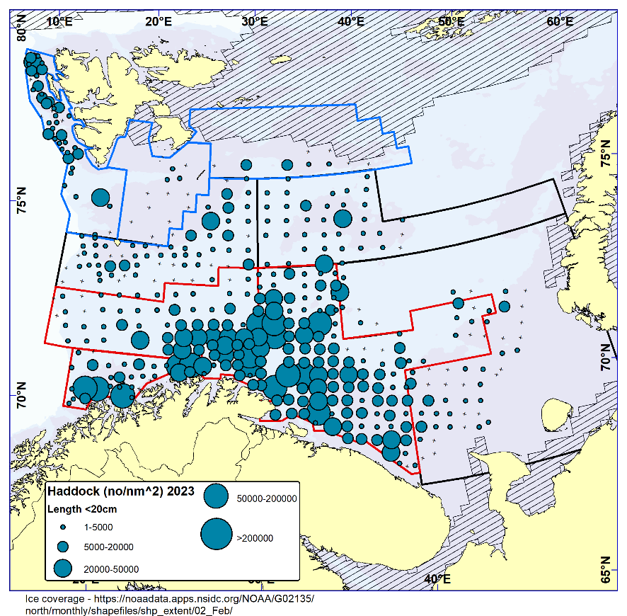 Figure 6.3.  HADDOCK < 20 cm. Distribution in valid bottom trawl catches winter 2023 (number per nm2). Black crosses indicate zero catches and the shaded area the ice coverage early in the survey.
