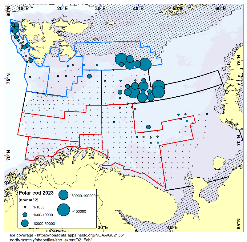 Figure 9.2 POLAR COD. Distribution in the trawl catches winter 2023 (number per nm2). Black crosses indicate zero catches and the shaded area the ice coverage early in the survey.