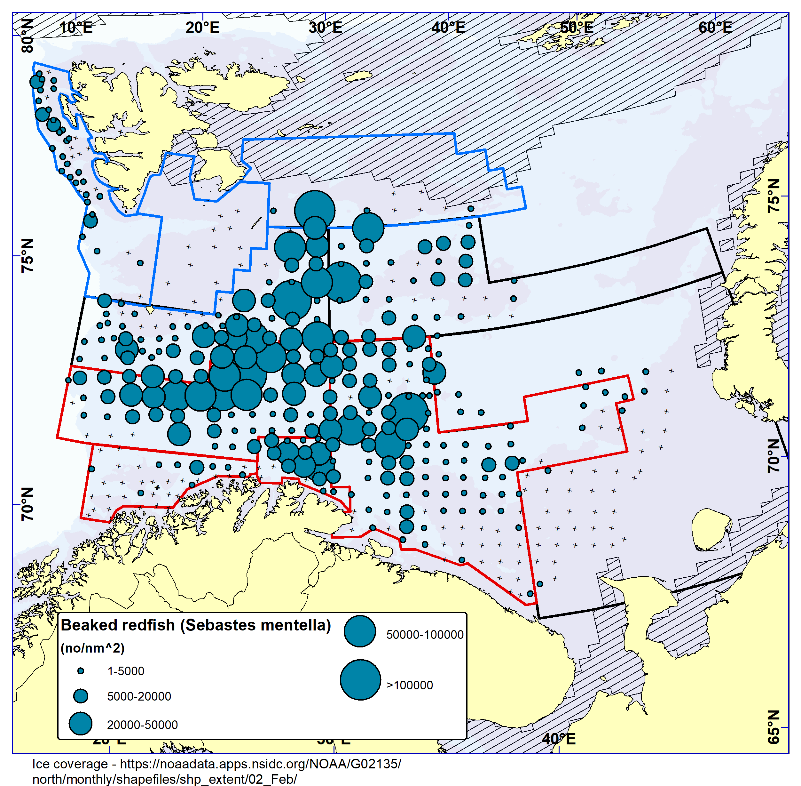 Figure 7.3. BEAKED REDFISH (Sebastes mentella). Distribution in the trawl catches winter 2023 (number per nm2). Black crosses indicate zero catches and the shaded area the ice coverage early in the survey.