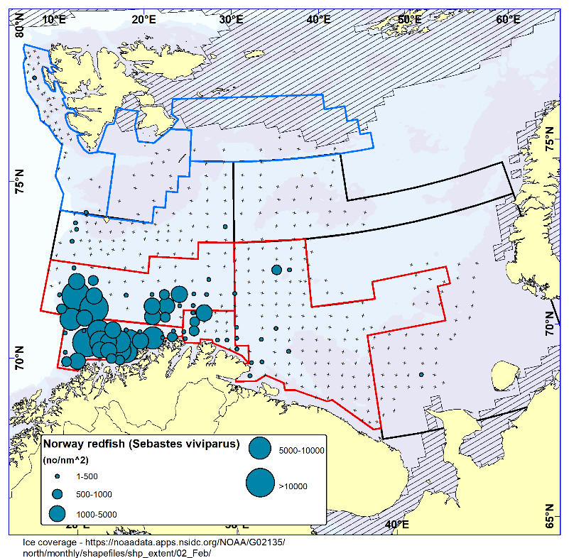 Figure 7.5. NORWAY REDFISH (Sebastes viviparus). Distribution in the trawl catches winter 2023 (number per nm2). Black crosses indicate zero catches and the shaded area the ice coverage early in the survey.